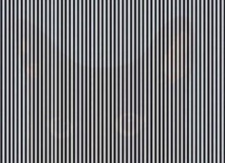 This Hidden Image Can Only Be Seen When You Shake Your Head