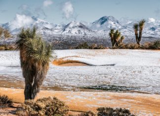 Rare Snowfall Transforms Rocky Desert into Surreal Winter Wonderland