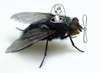 Artist Sees Faces in Everyday Object and Turns Them Into Characters