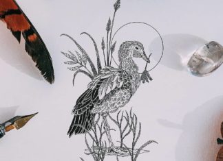 Artist Draws Beautiful Birds