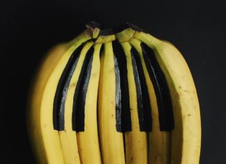 Artist Reimagines Ordinary Objects as Something Else