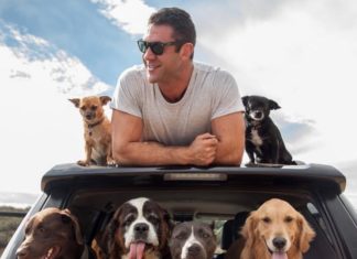 Get a Daily Dose of Men and Dogs