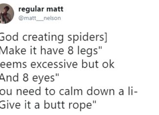 Twitter Users Try to Imagine What God Was Thinking When He Created Things