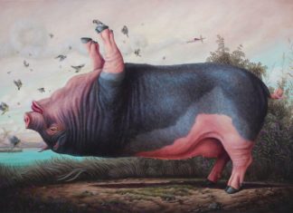 Animals Do Yoga in These Surrealistic Paintings