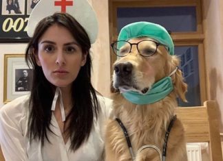 Photographer Dresses Her Dog In Hilarious Outfits