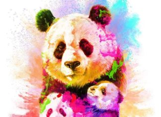 These Colorful Illustrations Raise Awareness to Endangered Animals