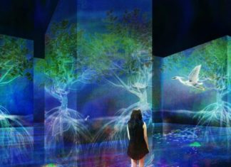 Japanese Studio Creates Art Installation That Transforms With the Seasons