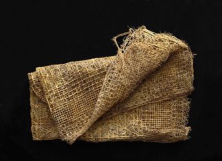 German Artist Uses Plant Roots to Create Beautiful Works of Art