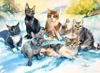 Artist Uses Watercolor to Paint Cats And Dogs