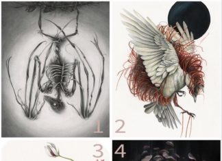 Christina Mrozik Fantasical Illustrations Blend Flora and Fauna