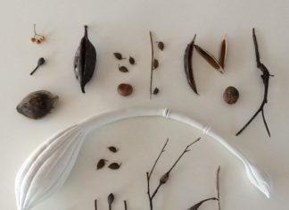 Australian Artist Makes Porcelain Sculptures that Blend with Nature