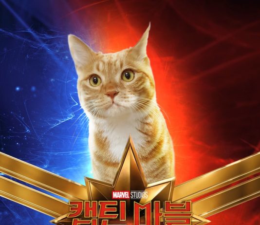 South Koreans Are Obsessed With Captain Marvel’s Cat