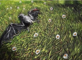 Serbian Artist Specializes In Magical Realism