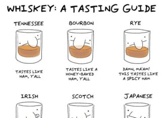 Musician Challenged Himself to Make Funny Cartoons Everday For 500 Days