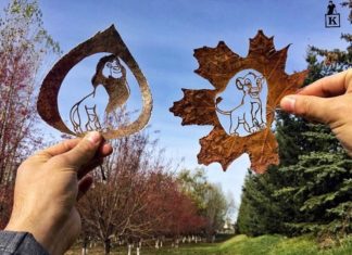This Artist Creates Beautiful Art Work From Fallen Leaves