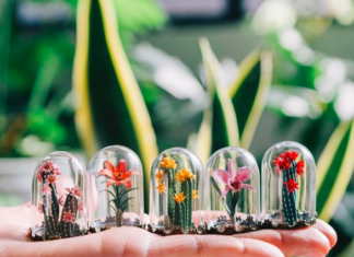 Spanish Artist Creates Beautiful Miniature Paper Plants