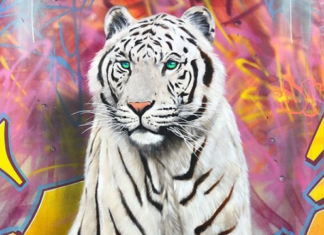 Graffiti Artist Draws 3D Animals to Promote Awareness for Animal Rights