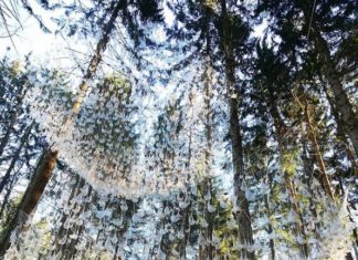 Giant Chandelier Made From Nature