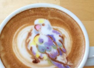 Barista Makes Remarkable Bird Latte Art