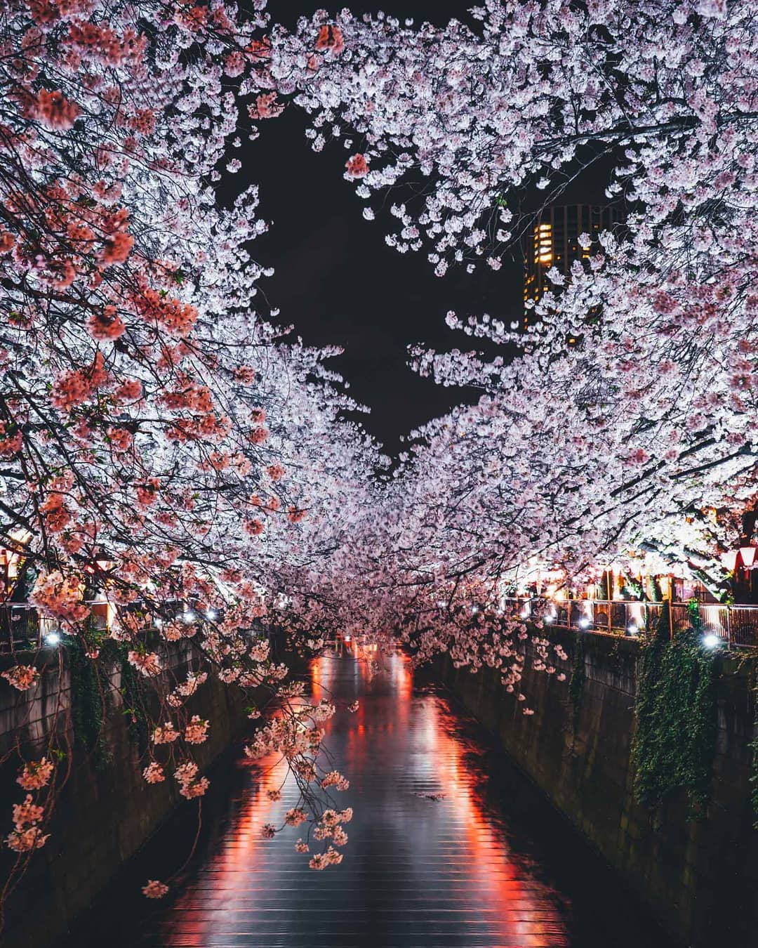 This Photographer Captures the Undiscovered Beauty of Japan - TettyBetty