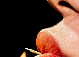 Photographer Shows Interesting Close-Ups of Everyday Objects