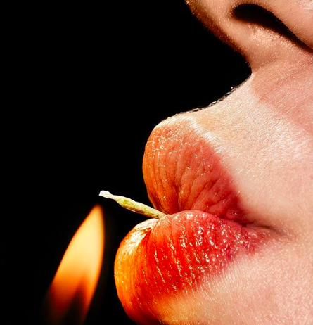 Photographer Shows Interesting Close-Ups of Everyday Objects