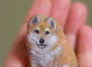 A Japanese Artist Brings Stones To Life By Painting Animals On Them