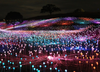 Bruce Munro’s Light Installations Illuminate Their Surroundings
