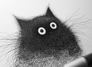 Artist Illustrates Fuzzy, Adorable Animals