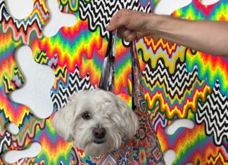 Artist Turns Ordinary Materials Into a Kaleidoscope of Vibrant Colors