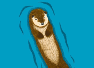24-Year-Old Artist Draws Cute Animal Portraits
