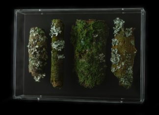 These Sculptures Seamleseely Blend With Nature