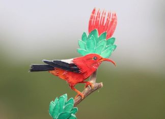 These Miniature Paper Birds Are Simply Adorable
