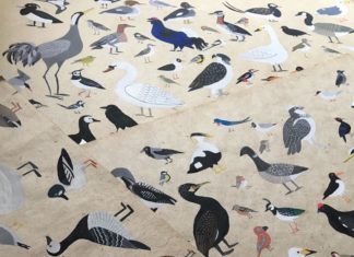 Meet the Finnish Illustrator Who is Obsessed with Birds