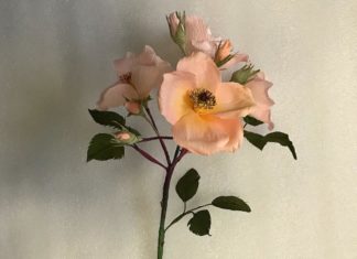 Artist Sourabh Gupta Turns Paper Into Incredibly Lifelike Flowers