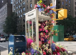 New York City Artist Turns Phone Booth Into an Incredible Floral Display