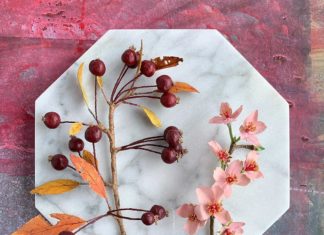 Enter Ann Wood’s Paper Botanical Garden