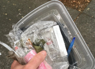 Guy Raises Awareness With Photos of Trash He Picked Up On the Streets