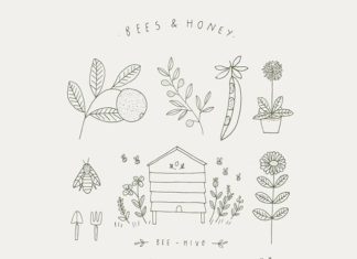 Add a Dose of Wholesomeness to Your Life with These Illustrations