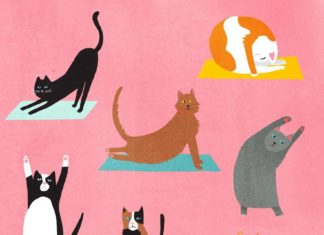 Agnes Loonstra: Full-Time Illustrator, Part-Time Self-Claimed “Crazy Cat Lady”