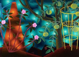 Enter Amy Lincoln’s Magical Sceneries