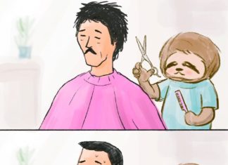 A Day In The Life Of A Sloth