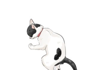 Artist Paints Adorable Watercolor Kittens