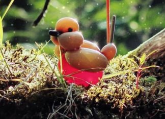 Terry Cook Makes Bird Sculptures Out of Balloons
