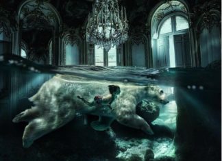 Dutch Artist Blends Reality With Imagination