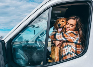 She Left Everything Behind And Began Traveling With Her Dog