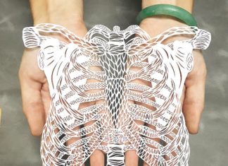 The Hand-Cut Paper Organs of Ali Harrison