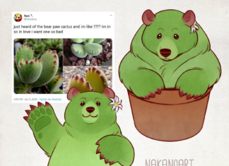 Nana Re-imagines Succulents as Adorable Bears