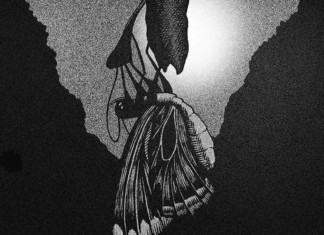 Student Illustrates Pink Floyd Album Covers Using Pen and Ink