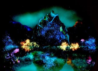 Kate Shaw’s Landscape Painting Take Her Around the World